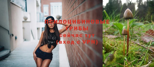 гидропоника Алексеевка