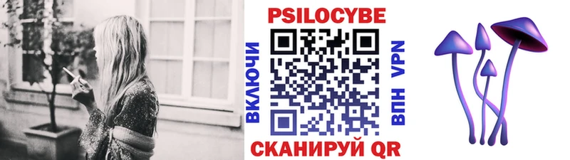 наркота  гидра ссылки  Галлюциногенные грибы Magic Shrooms  Любань 